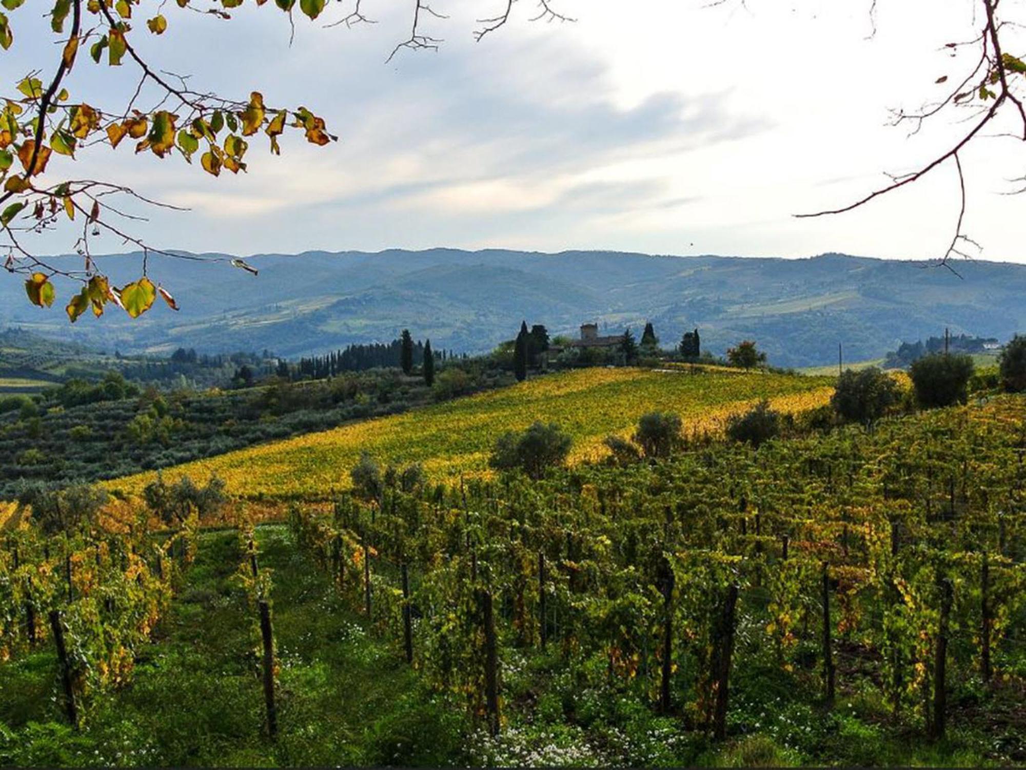 Holiday Home La Torre By Interhome Lucolena in Chianti Kültér fotó