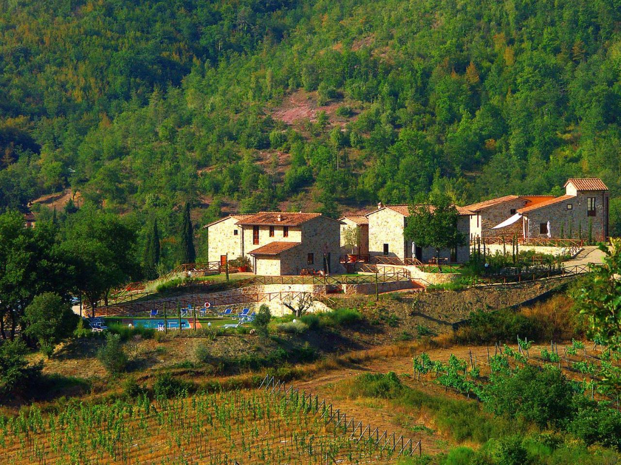 Holiday Home La Torre By Interhome Lucolena in Chianti Kültér fotó